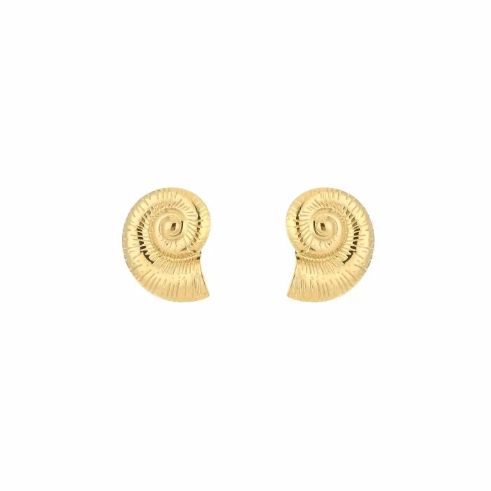 Golden Shells Oorbellen